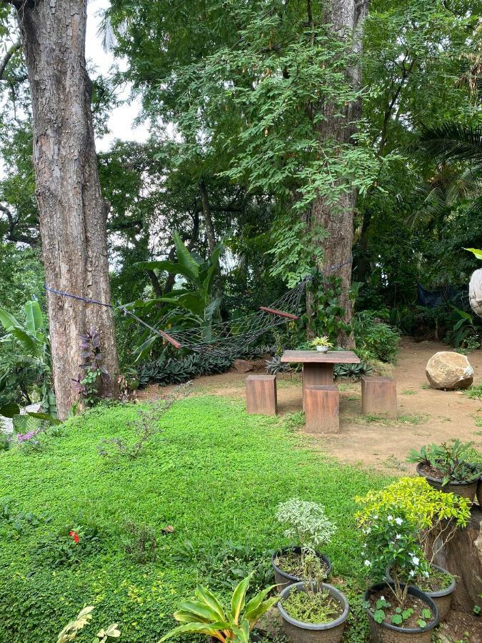 Pearl'S Homestay Matale Exterior photo