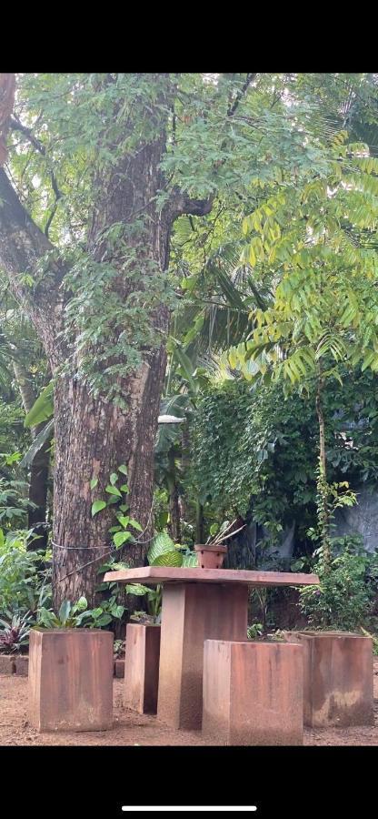 Pearl'S Homestay Matale Exterior photo